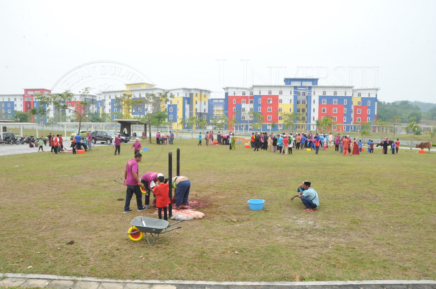 PRO15 150 KORBAN HAS 6864